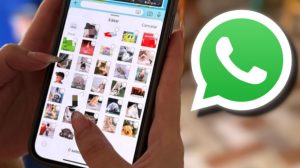 Decile chau al caos de stickers en Whatsapp: mirá cómo podés ordenarlos y encontrarlos más rápido