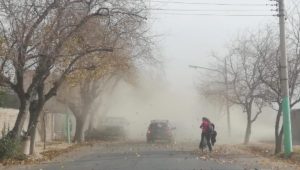 Zonda en Mendoza: piden precaución para circular por rutas del sur provincial