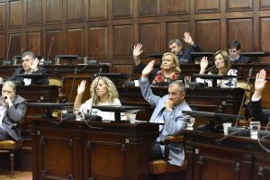 Diputados aprobó el proyecto para el uso medicinal del cannabis