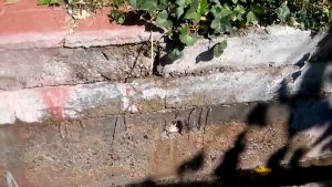 Pérdida de agua en el Barrio Cementista