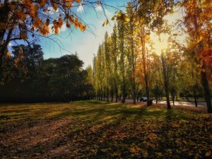 Cómo estará el pronóstico del domingo