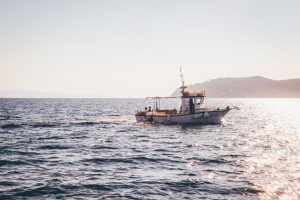 Pescadores hallaron una extraña criatura de dos cabezas