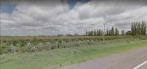 Encontraron el cuerpo de un bebé mutilado en Rivadavia