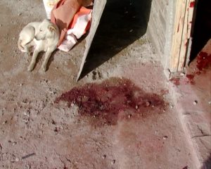 Lo mataron por un par de zapatillas y dos celulares