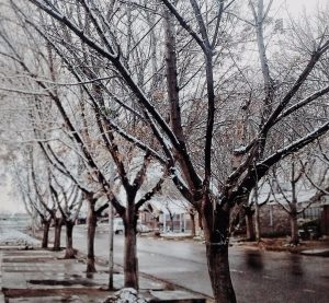 ¿Hasta cuándo sigue la ola polar en Mendoza?