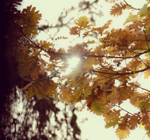 Pronóstico: Cómo estará el tiempo esta semana en Mendoza