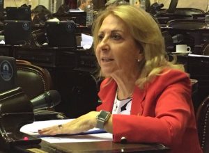 La legisladora Balbo aumentó su patrimonio en más de 40 millones