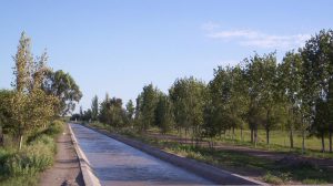 Cambios en el sistema de riego ante la emergencia hídrica