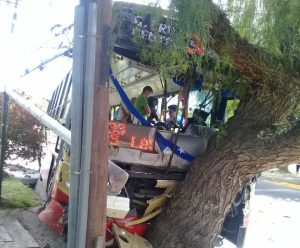 Un micro chocó con una camioneta de la Policía y luego contra un árbol en Ciudad