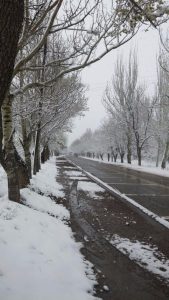 Volvió el frío y nevó en el Sur provincial