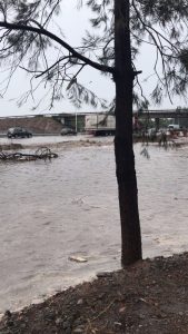 Fotos y videos: Lo que dejaron el granizo y las lluvias en Mendoza