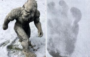 Fin al misterio: La ciencia descubre la identidad genética del yeti