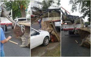 ¡Insólito! Un dinosaurio aplastó a una camioneta