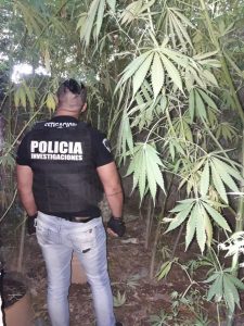 Los narcos deberán pagar los costos de investigación de sus causas