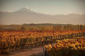 ¿Cuántos turistas llegarán a Mendoza esta Semana Santa?