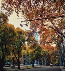 Pronóstico: Cómo estará el tiempo esta semana