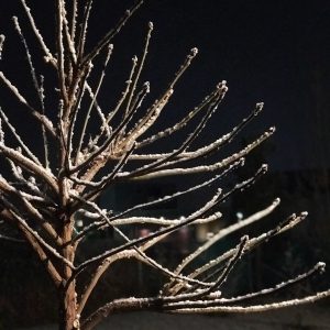 Pronóstico: ¿Seguirá nevando en Mendoza?