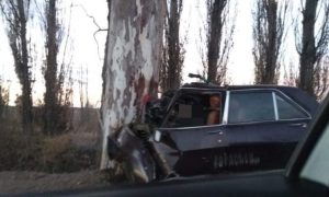 Murió un hombre al chocar contra un árbol