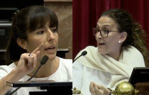 El cruce entre la senadora mendocina y Gabriela Michetti