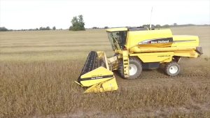 Sin el Fondo Sojero, Mendoza pierde $165 millones
