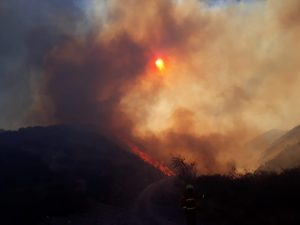 Cerro Arco: quieren crear brigada de custodios voluntarios para evitar incendios