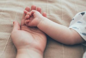 Buscan controlar y acelerar las adopciones