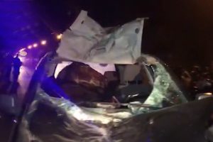 Impresionante: caballo quedó atrapado dentro de un auto