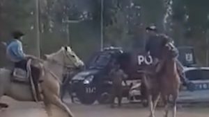Video: violenta pelea en una doma por la muerte de un caballo