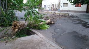 Las secuelas de la tormenta en Mendoza