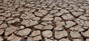 Duras imágenes: así de seco está el dique Potrerillos