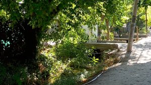 Encontraron a un hombre muerto dentro de un canal