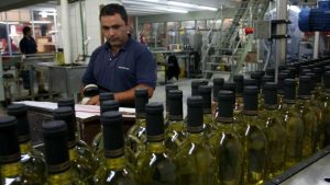 Cosecha vitivinícola: ¿qué pasará con el vino excedente?