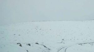 Nieve en verano: la Laguna del Diamante está totalmente blanca