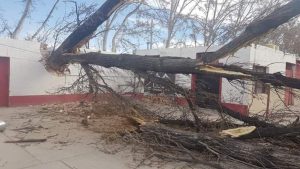 Zonda: los clubes mendocinos afectados por el temporal