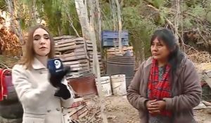 Guaymallén: un árbol colapsó en su vivienda y pide ayuda para retirarlo