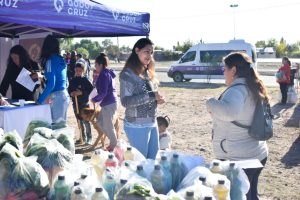 Godoy Cruz: cómo y dónde comprar el bolsón de verduras a $50