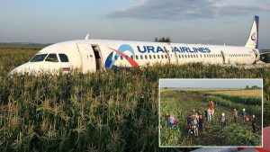 Video: Avión aterrizó en un campo de maíz tras chocar con bandada de pájaros