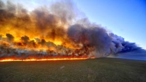 Amazonas: el pulmón verde sudamericano arde a velocidad récord