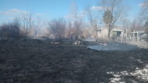 Un incendio destruyó un refugio de perros y necesitan ayuda