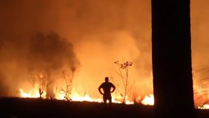 Nuevos incendios por el viento Zonda