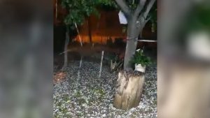 Granizo en Mendoza: así fue la tormenta de la madrugada