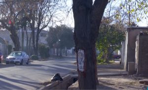 Ciudad: discutió con su ex y baleó al sobrino