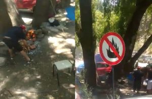 Un asado provocó un incendio en 5 hectáreas de El Salto