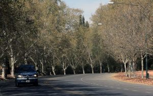 ¿Continúa el calor? cómo estará el fin de semana largo en Mendoza