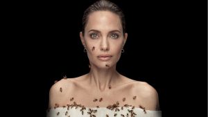 Angelina Jolie; ¿Atacada por abejas?