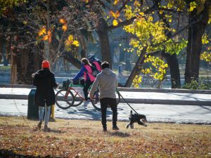 Mendoza en alerta violeta: el parque San Martín con una mínima de 4º bajo cero