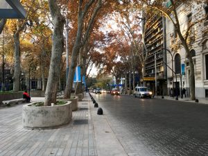 ¿Es Zonda?: de qué se trata el viento que sopla este martes