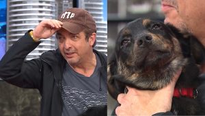 Darín se metió en vivo a un programa para avisar que encontró un perro en la calle