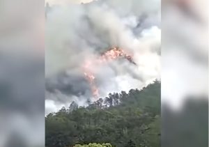 Video: un avión con 132 pasajeros se cayó en China