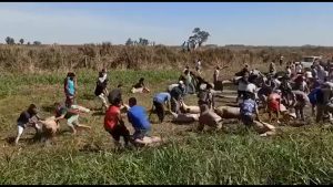 Video: volcó un camión con cerdos y los vecinos los carneaban en plena ruta